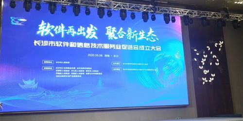 長(zhǎng)沙市軟件和信息技術(shù)服務(wù)業(yè)促進(jìn)會(huì)隆重召開，搜云科技受邀共商科技信息咨詢服務(wù)新藍(lán)圖