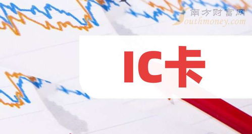 2025年軟件外包服務視角下的IC卡龍頭廠商分析